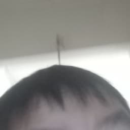 The snore of the day.