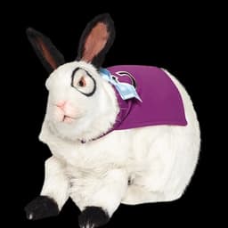 Doctor Colosso español latino