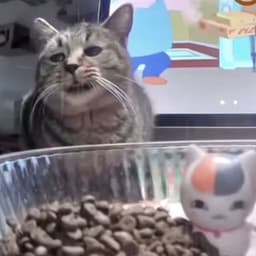 M Rafky Adithya Gunawan