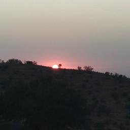 اخبار