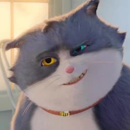 Beckett the Cat (10 Lives)