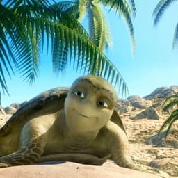 SAMMY LA TORTUGA (ARCIARNO)