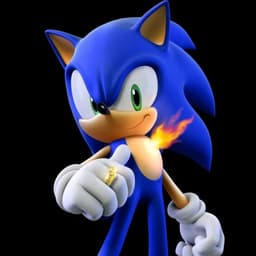 Sonic The Hedgehog (Sonic And The Secret Rings)