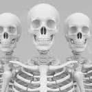 الهيكل العظمي