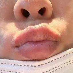 Y燕子