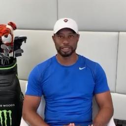 Tiger woods