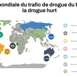 la voix du loup de wall street