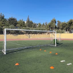 صوت موسى التعمري