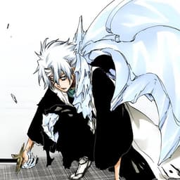 Toshiro Hitsugaya 