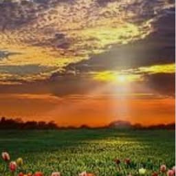 صعود الجبال 