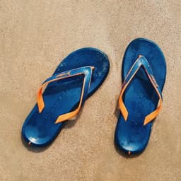 Chappal