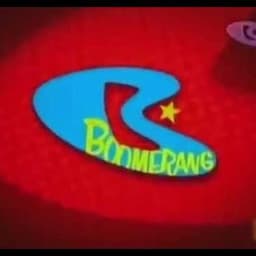 Boomerang Australia Announcer Male (2008 - 2015)