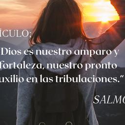 VOZ REFLEXIVA NO.5