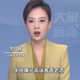 新闻女（刘琳）