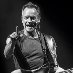 Sting