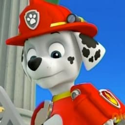Marshall Paw Patrol Season 1