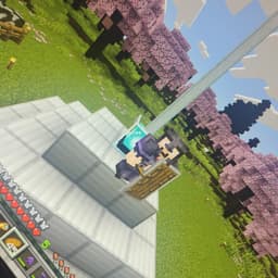 Tomate sin cebolla001