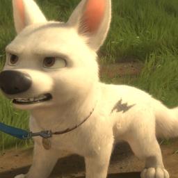 Bolt