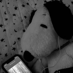 snoopy 
