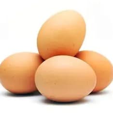 clonacion de vos(huevo)