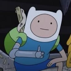 Finn the human