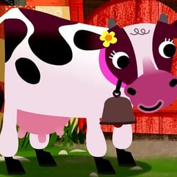 Cassie the cow
