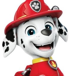 Marshall paw patrol 