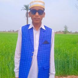 Shakeel 