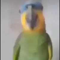 milk shake de morango