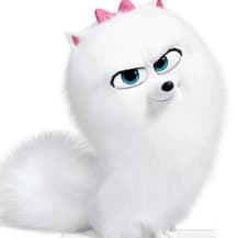 Gidget (The Secret Life of Pets)