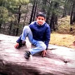 Nitish's Voice 