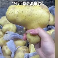 凯特琳