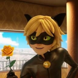 القط الاسود 