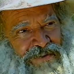 Velho do Rio
