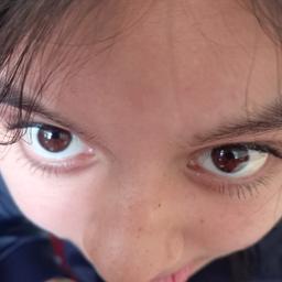 Aris