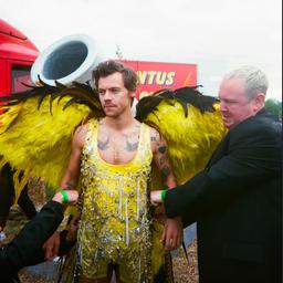 Harry styles