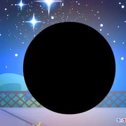 Black Hole BFDI