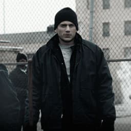 الإنترنت مجانا 