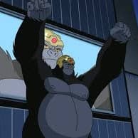 Grodd 2