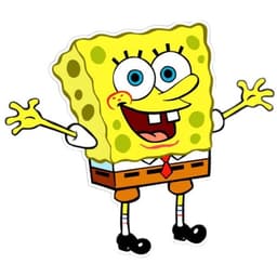 Spongobon