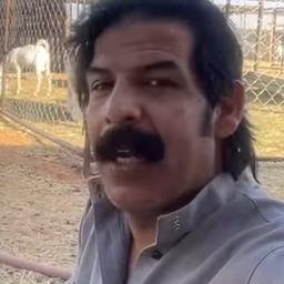 نانسي
