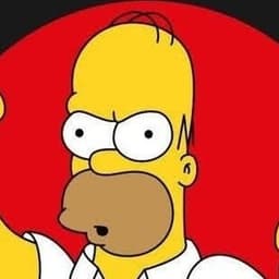 Homer Simpson (The Simpsons)