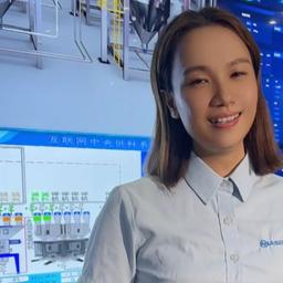 njs美女