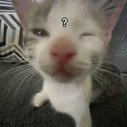 Grover guardia mendez 