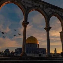 Ashma Hanifah Mahara