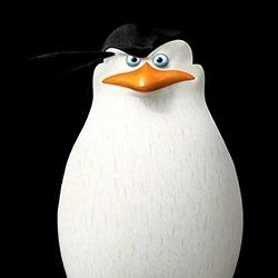 skipper