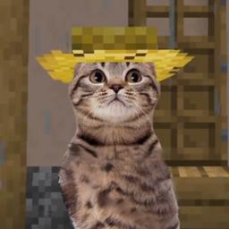 villager 2