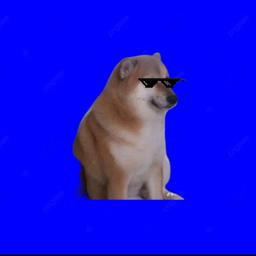 Doggy