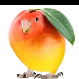 Favortismo de Hoy 777 (Mr nations)