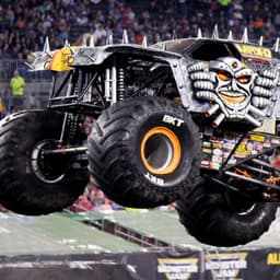 Maximum Destruction (Max-D)